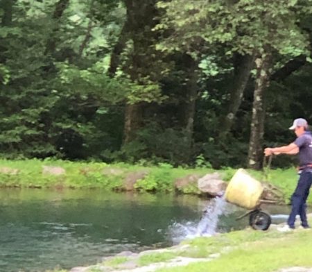 白州トラウトフィッシングエリア　シルフ 釣果