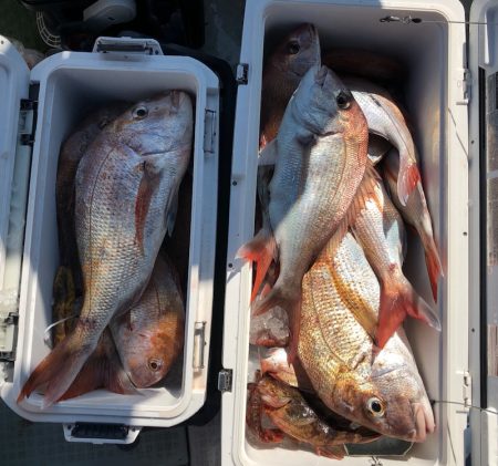 フィッシング　キッタカ 釣果