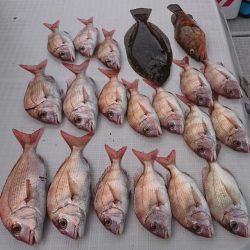 遊漁船 家入 釣果