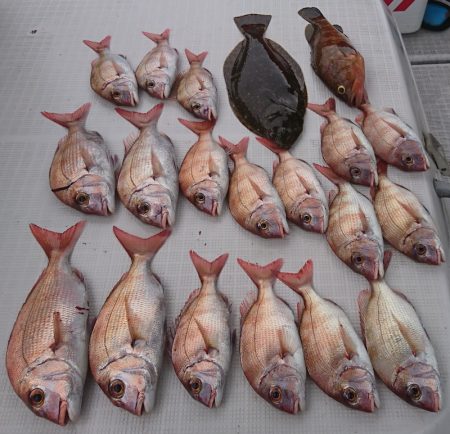 遊漁船 家入 釣果