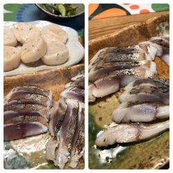 ビッグファイター 釣果