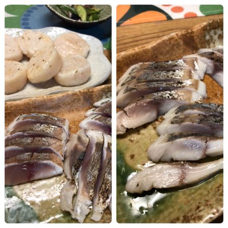 ビッグファイター 釣果