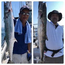 ビッグファイター 釣果