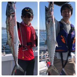 ビッグファイター 釣果