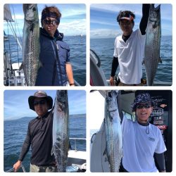 ビッグファイター 釣果