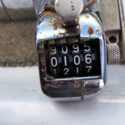 フィッシング　キッタカ 釣果