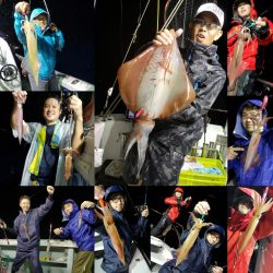 シーライオン 釣果