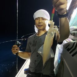 シーライオン 釣果