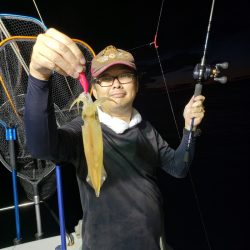 シーライオン 釣果