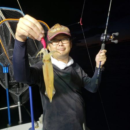 シーライオン 釣果