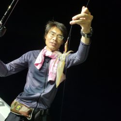 シーライオン 釣果