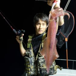 シーライオン 釣果