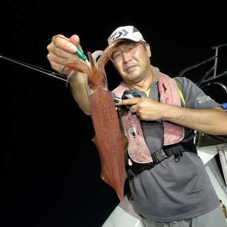 シーライオン 釣果