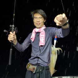 シーライオン 釣果