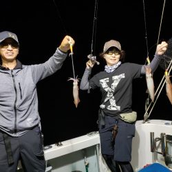 シーライオン 釣果