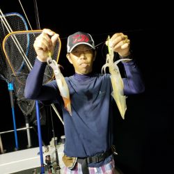 シーライオン 釣果