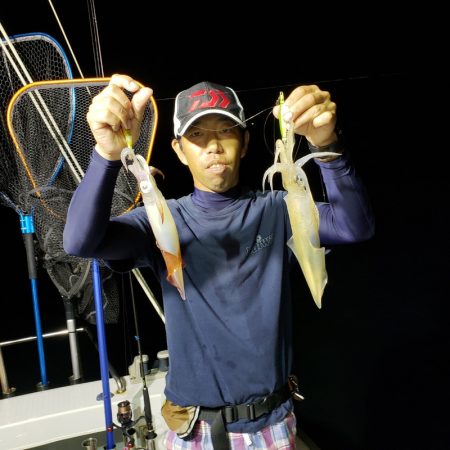 シーライオン 釣果