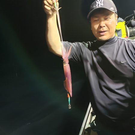 シーライオン 釣果