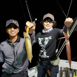 シーライオン 釣果