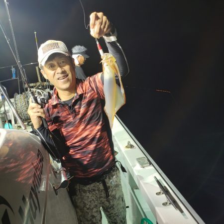 シーライオン 釣果