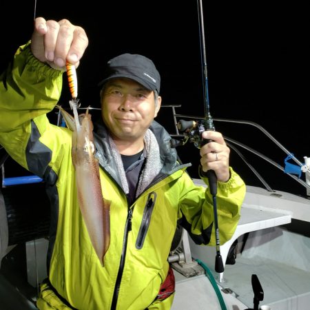 シーライオン 釣果