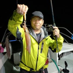 シーライオン 釣果