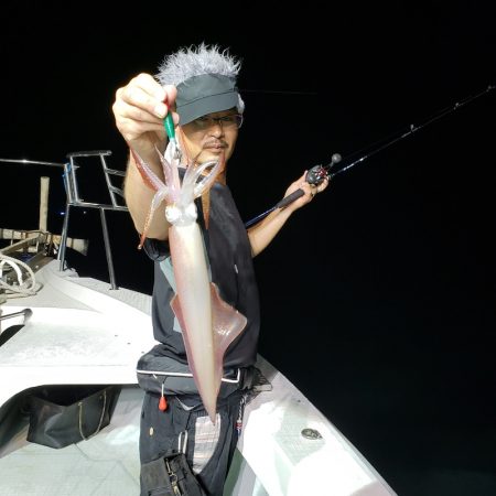 シーライオン 釣果