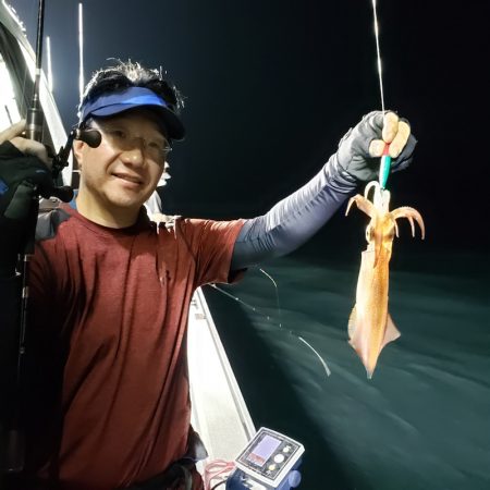 シーライオン 釣果