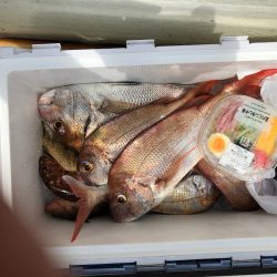 フィッシング キッタカ 釣果