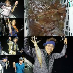 シーライオン 釣果