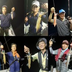 シーライオン 釣果