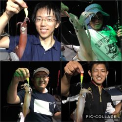 渡船屋たにぐち 釣果