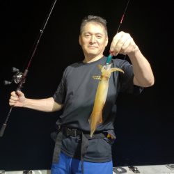 シーライオン 釣果