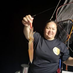 シーライオン 釣果