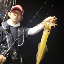 シーライオン 釣果