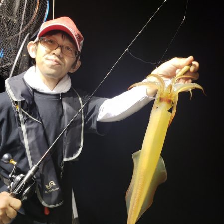 シーライオン 釣果