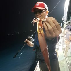 シーライオン 釣果