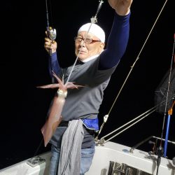 シーライオン 釣果