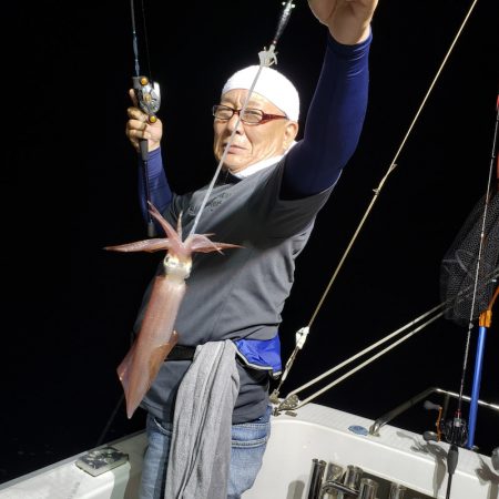 シーライオン 釣果