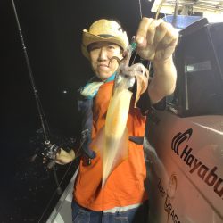 シーライオン 釣果