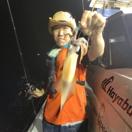 シーライオン 釣果