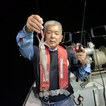 シーライオン 釣果