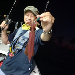 シーライオン 釣果