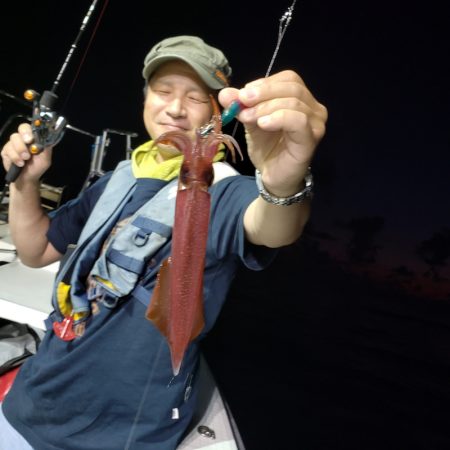 シーライオン 釣果