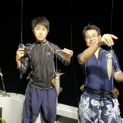 シーライオン 釣果