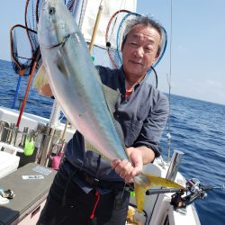 シーライオン 釣果