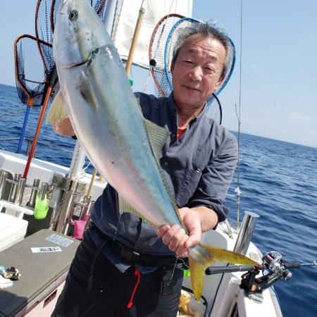 シーライオン 釣果