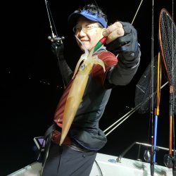 シーライオン 釣果