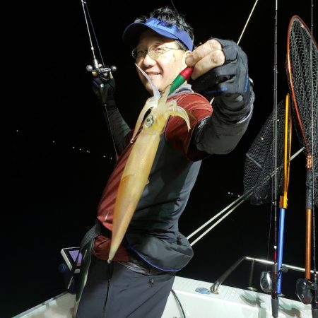 シーライオン 釣果