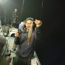 シーライオン 釣果